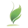 Earth element